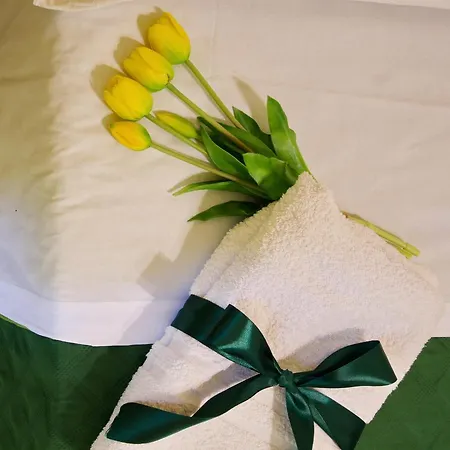 Domus Aurea לינה וארוחת בוקר